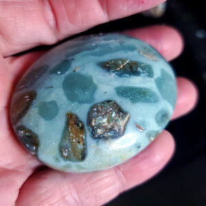 Ocean picture stone Palm stone I