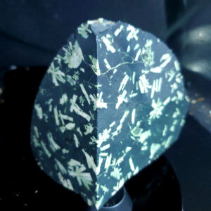Flowerstone - Specimen Z Chinese Writing Stone