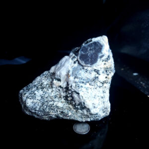 Blue Jay sapphire from August video specimen R