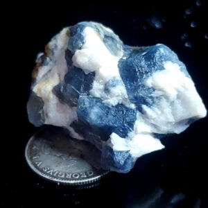 Blue Jay Sapphire from August video