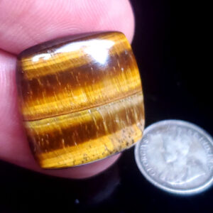 Tigers Eye cab B