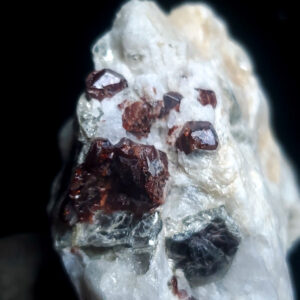 Garnet specimen D