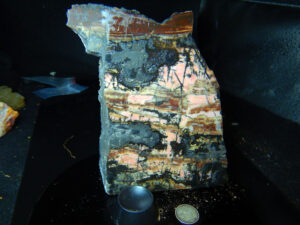 Rhodonite Specimen K