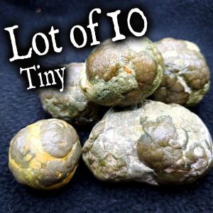 Lot of 10 Tiny Thunder Eggs - Whole mystery stone