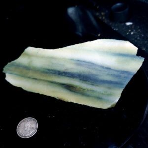 Forest Elfinstone Specimen B