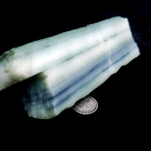 Forest Elfinstone Specimen Q