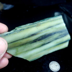 Forest Elfinstone Specimen V