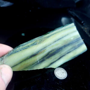 Forest Elfinstone Specimen Z