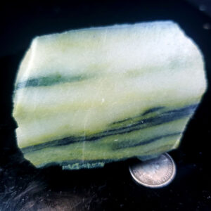 Forest Elfinstone Specimen K