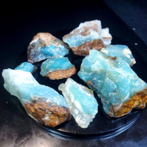 Dayna Blue Chip Lot B