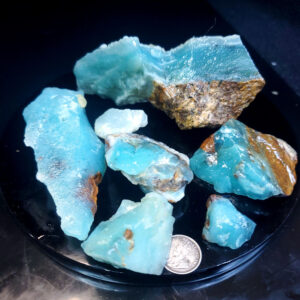 Dayna Blue Chip Lot C