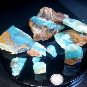 Dayna Blue Chip Lot F