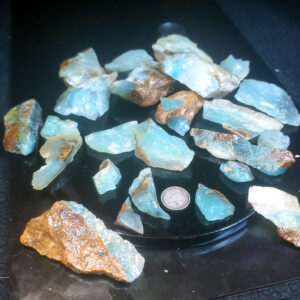 Dayna Blue Chip Lot G