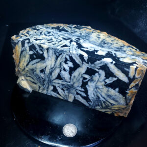 Pinolite - Specimen K