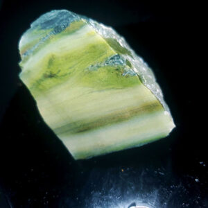 Forest Elfinstone Specimen R