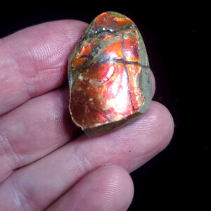 Ammolite Specimen - Small G