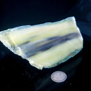 Forest Elfinstone Specimen A