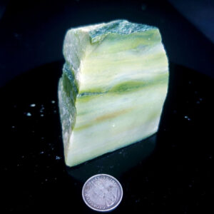 Forest Elfinstone Specimen I