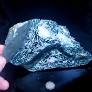 Dallasite - Specimen Rock G