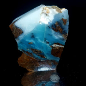 Dayna Blue Specimen Z