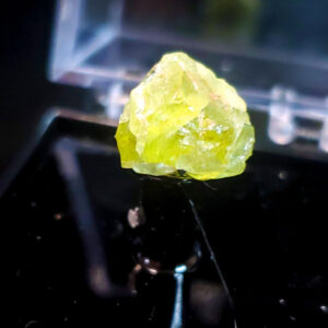 Perky box specimen A