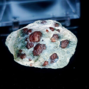 Garnet perky box specimen E