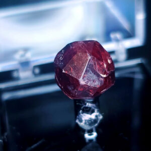 Garnet perky box specimen D