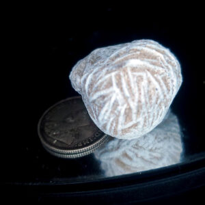 Desert Rose 7.8 grams