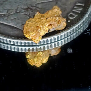 Gold and quartz .07 gram