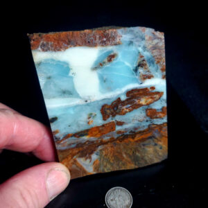 Dan's Pick - Slab! C