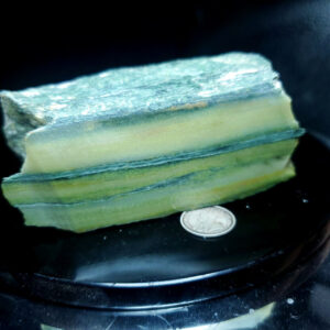 Forest Elfinstone Specimen X