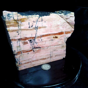 Rhodonite Specimen W