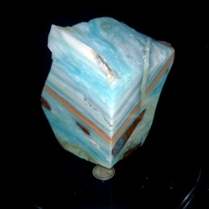 Special Specimen Rock T