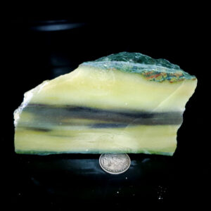 Forest Elfinstone Specimen G