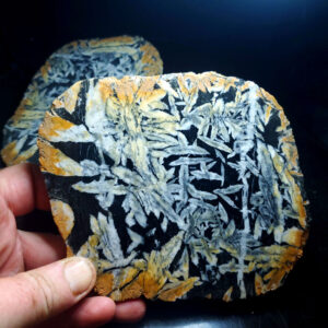 Pinolite slab S