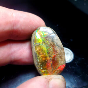 Ammolite Specimen - Small A
