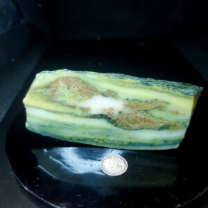 Forest Elfinstone Specimen Y