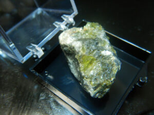 Perky box specimen C