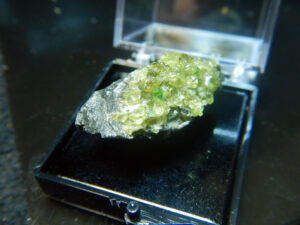 Perky box specimen D