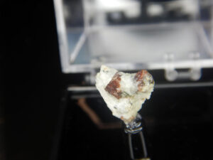 Garnet perky box specimen B