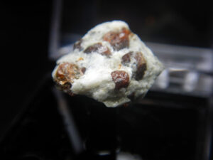 Garnet perky box specimen G