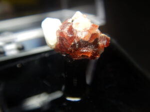Garnet perky box specimen I