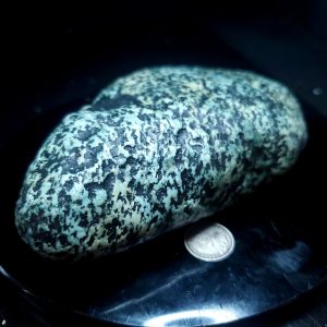 BC Fraser Turquoise palm stone A