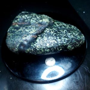 BC Fraser Turquoise palm stone B