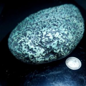 BC Fraser Turquoise palm stone E