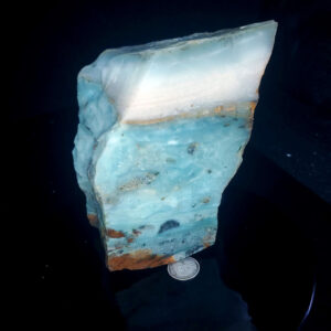 Special Specimen Rock Y