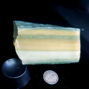 Forest Elfinstone Specimen F