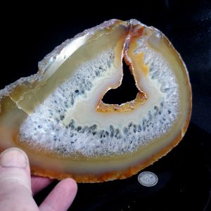 An agate slab Large A