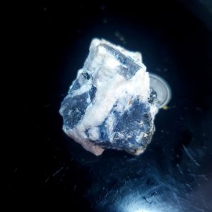 Blue Jay sapphire from August video specimen V
