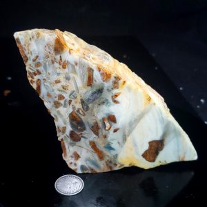 Discounted Special Specimen Rock J